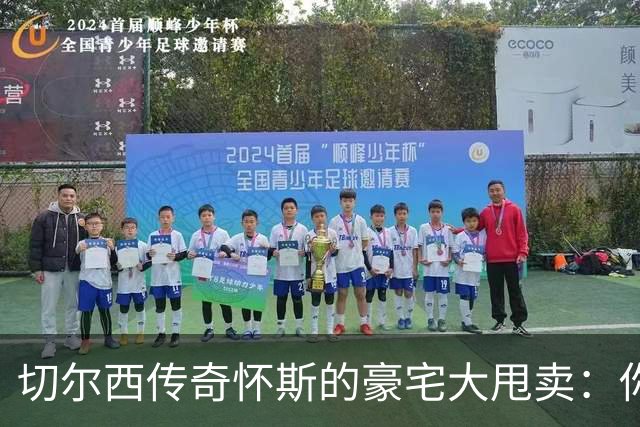 切尔西传奇怀斯的豪宅大甩卖：你会搬来吗？